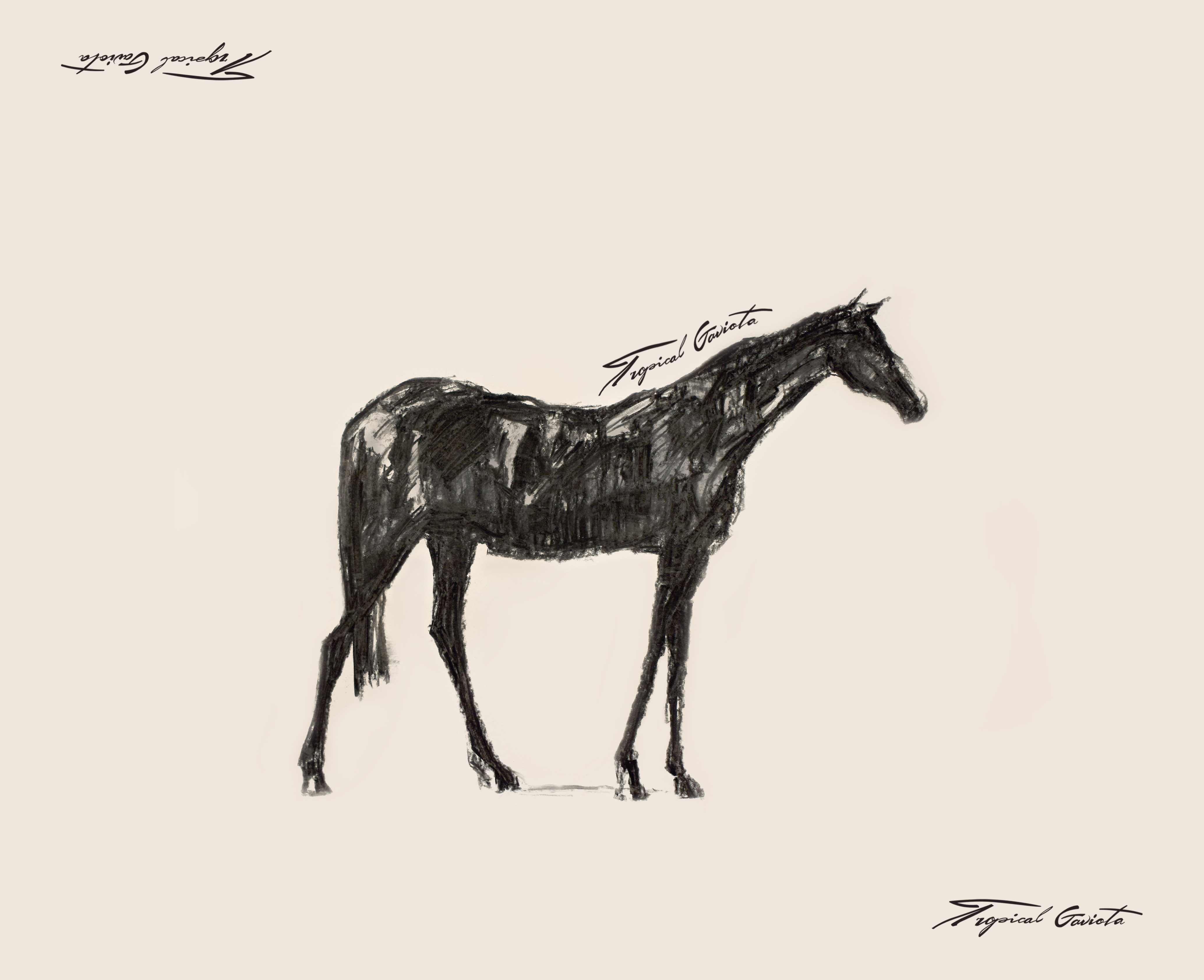 SILHOUETTE