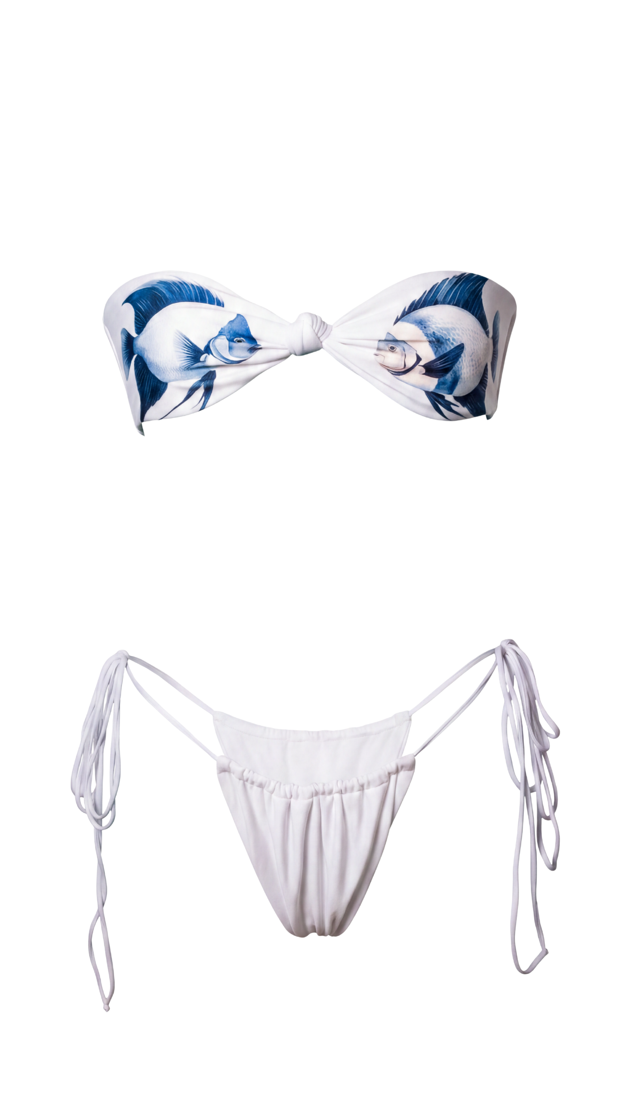 PEZ NACARADO BLANCO
